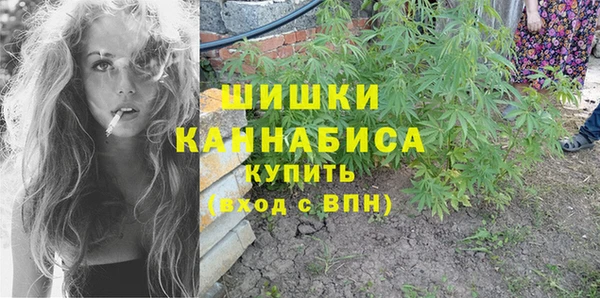 ГАЛЛЮЦИНОГЕННЫЕ ГРИБЫ Балахна