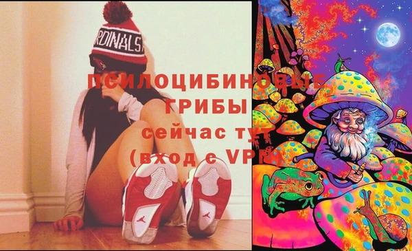 ГАЛЛЮЦИНОГЕННЫЕ ГРИБЫ Балахна