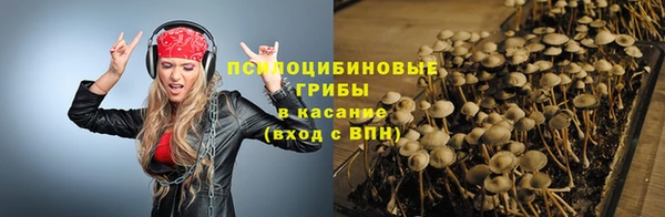 ГАЛЛЮЦИНОГЕННЫЕ ГРИБЫ Балахна