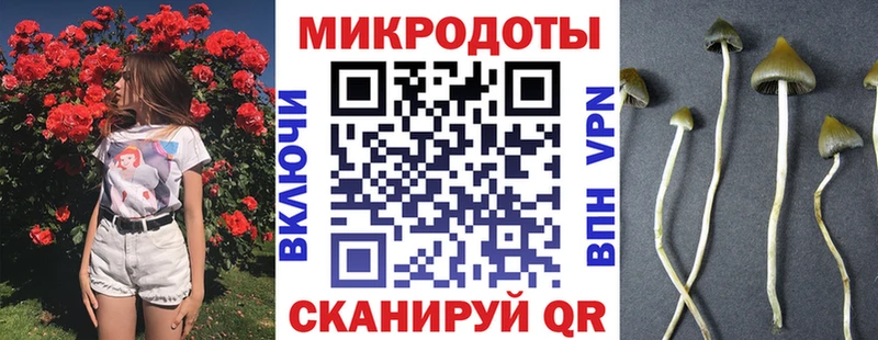 Галлюциногенные грибы мухоморы  Купить закладки  Новокубанск 