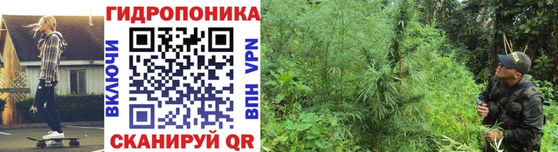 Купить где  Новокубанск  Шишки марихуана THC 21% 